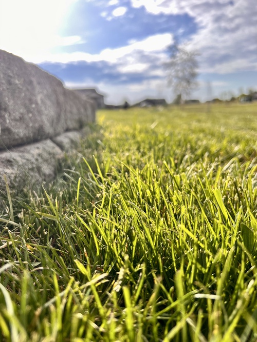 lawn care, mowing, maintenance lawn care, mowing, maintenance